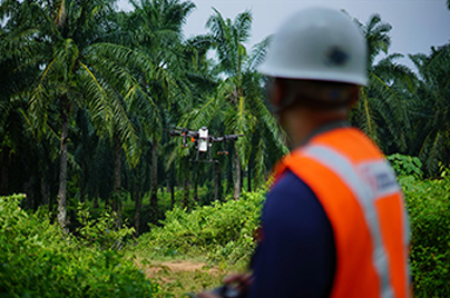 Dynamic Content Image