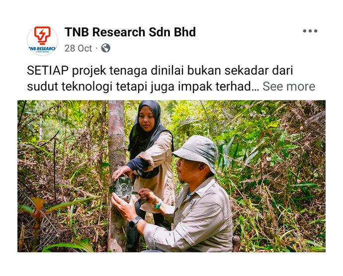 Latest Facebook post from TNB Research