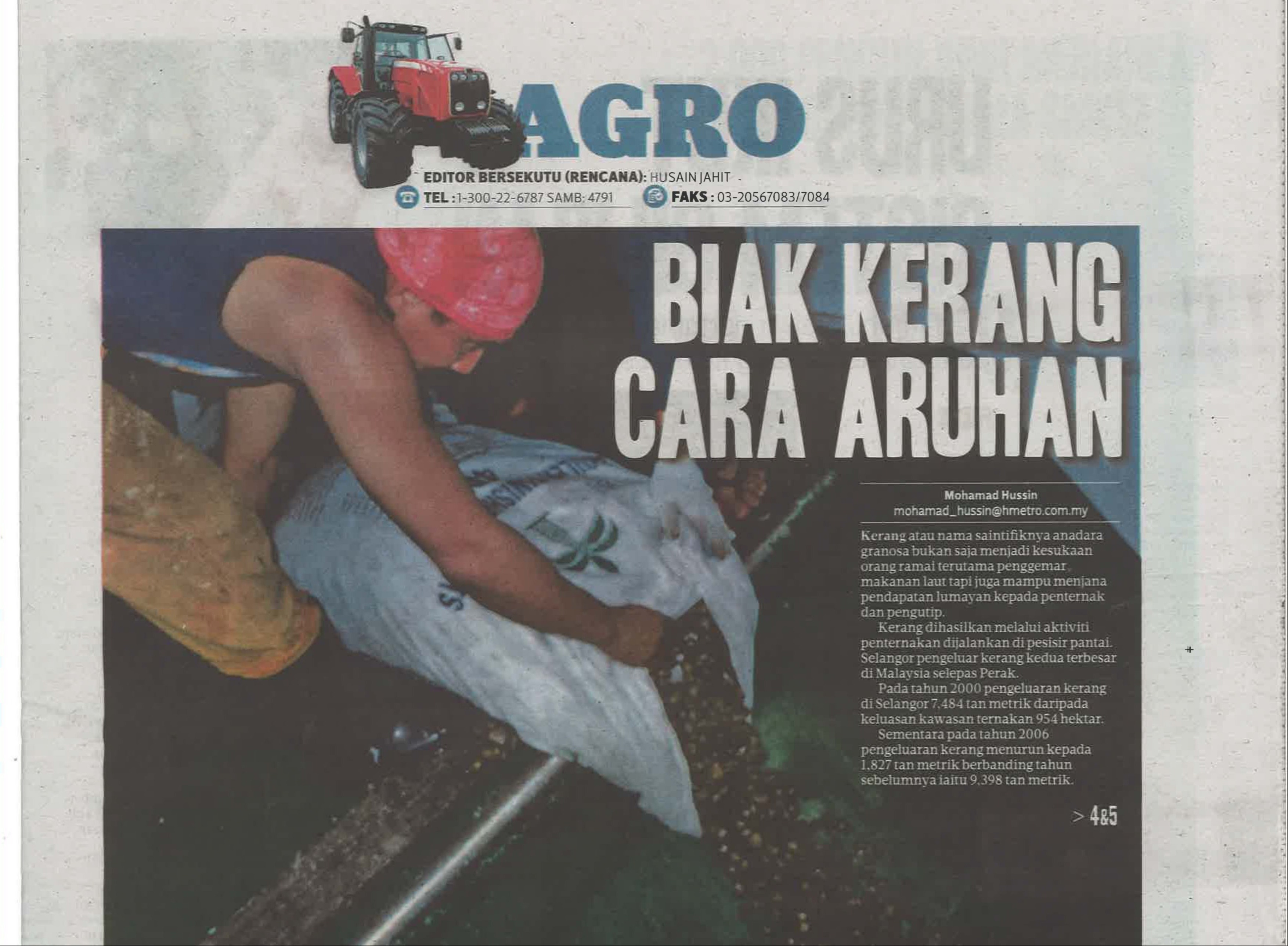 Dynamic Content Image