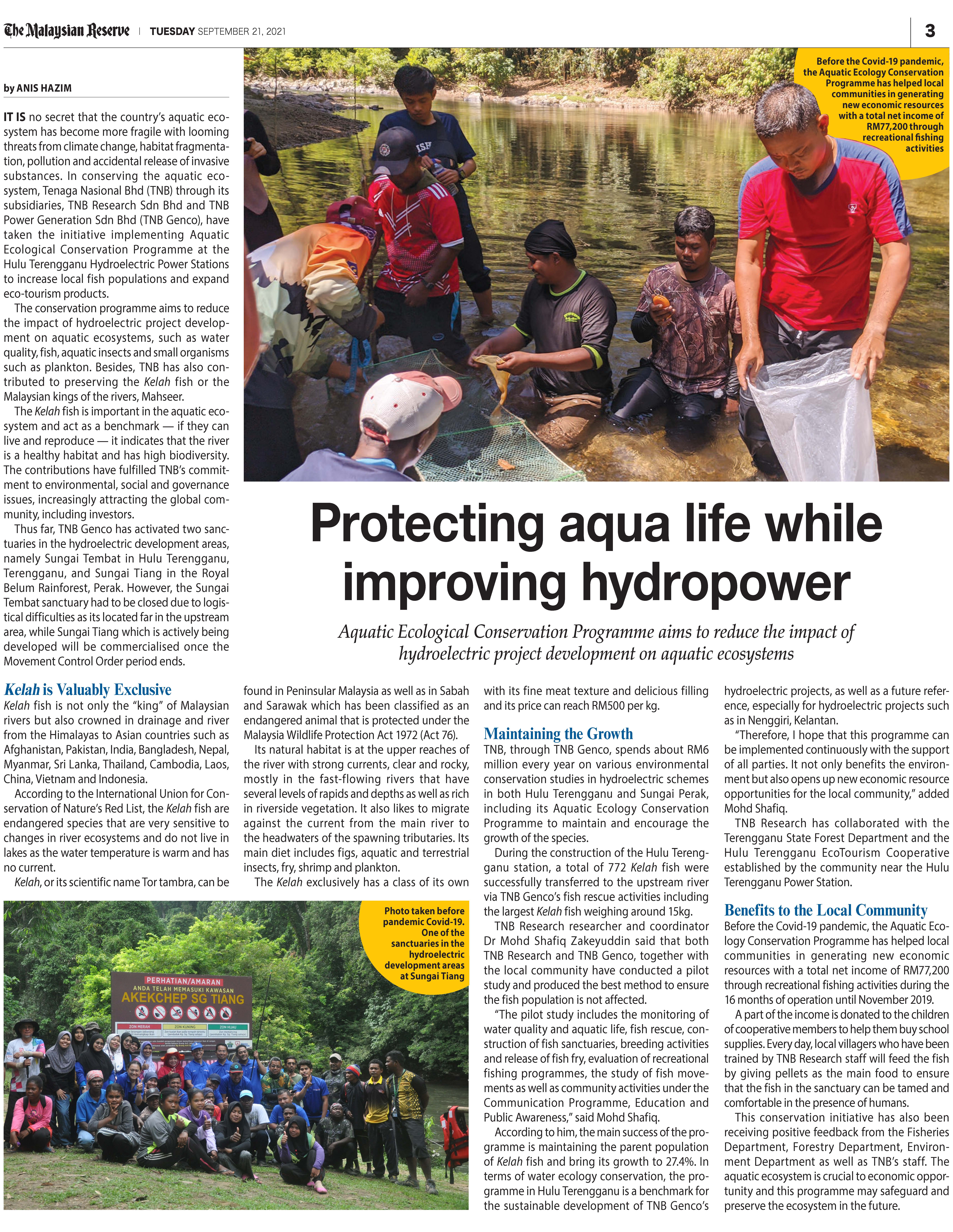 Dynamic Content Image