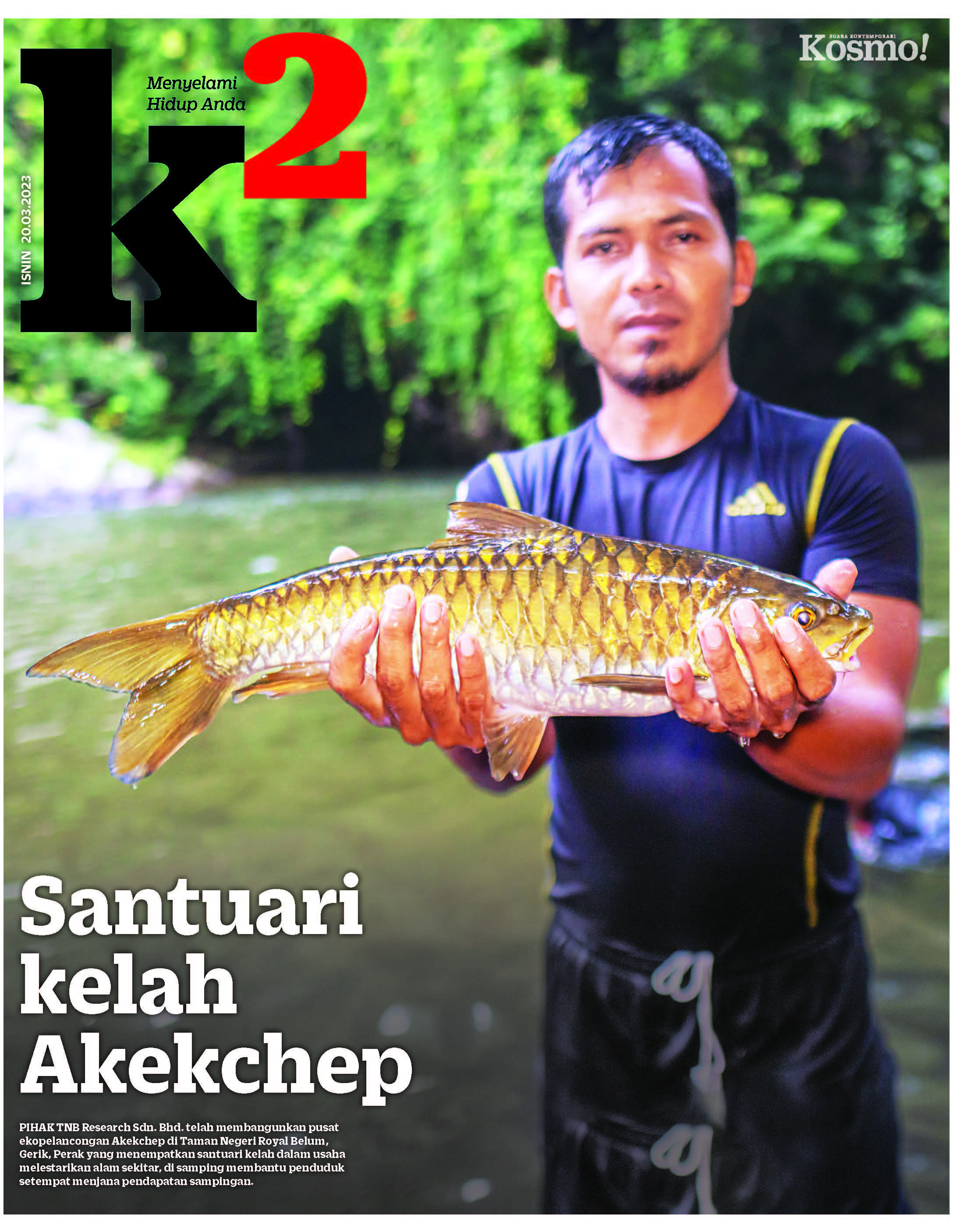 Dynamic Content Image