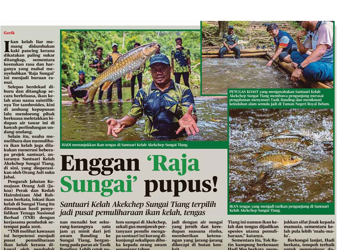 Dynamic Content Image